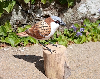 Stunningly realistic handcarved and painted life size Housemartin perched on a wooden stand that measures 12cm from beak to tail.