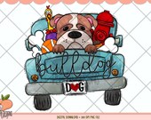 Bulldog Digital PNG, Robust Dog Illustration for Bulldog Enthusiasts