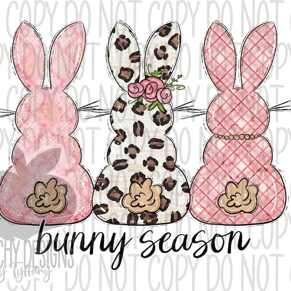 easter bunny png, bunny season, digital download, sublimation designs, sublimation downloads, sublimation png, Easter png, bunny, bunny dtg