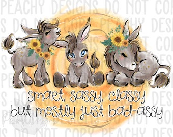 Sweet Sassy Classy png, donkey design, Mostly bad assy, sublimation designs, sublimation downloads, sublimation png, cute clipart