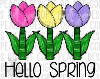Hola Primavera png, Impresión de primavera, PNG floral, descarga digital, diseños de sublimación, descargas de sublimación, DTG de Pascua, imágenes prediseñadas de primavera, primavera