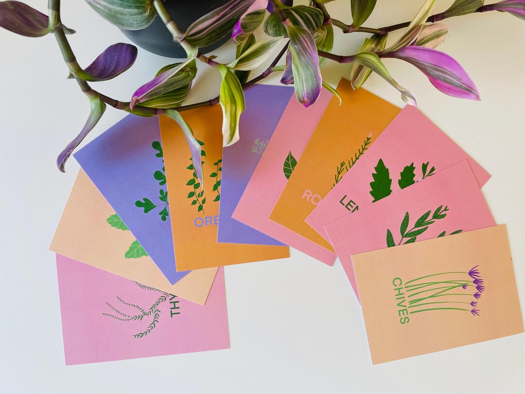 Botanical Herb Postcards: Hand-drawn Culinary Art, Set of 10 - Etsy