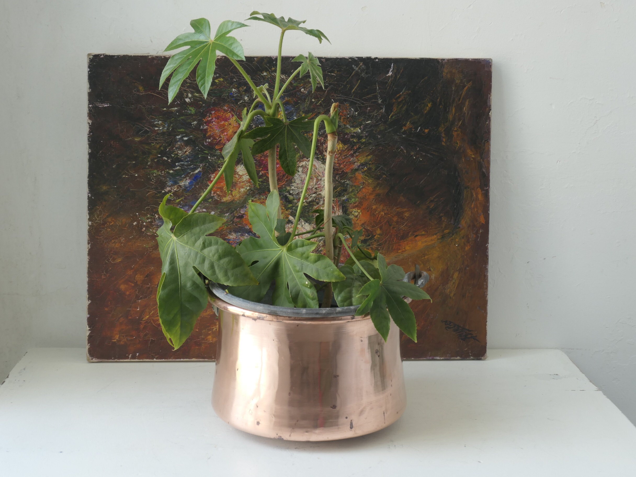 Antique Français Chaudron en Cuivre Confiture Pan Planter