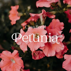 Pre-designed logo, bright logo, modern logo, florist logo, small business brand, boutique logos