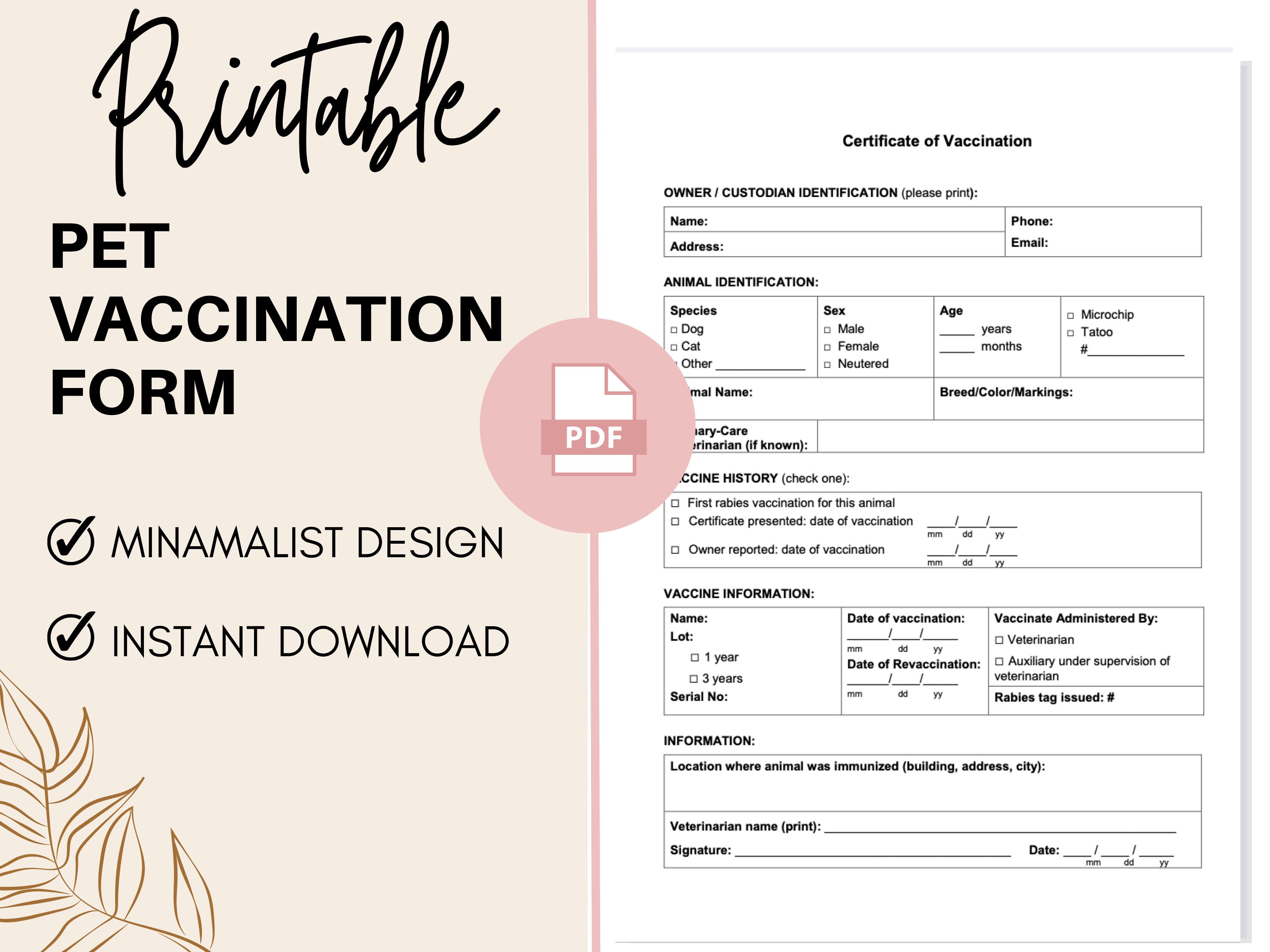 Rabies Vaccine Certificate Template