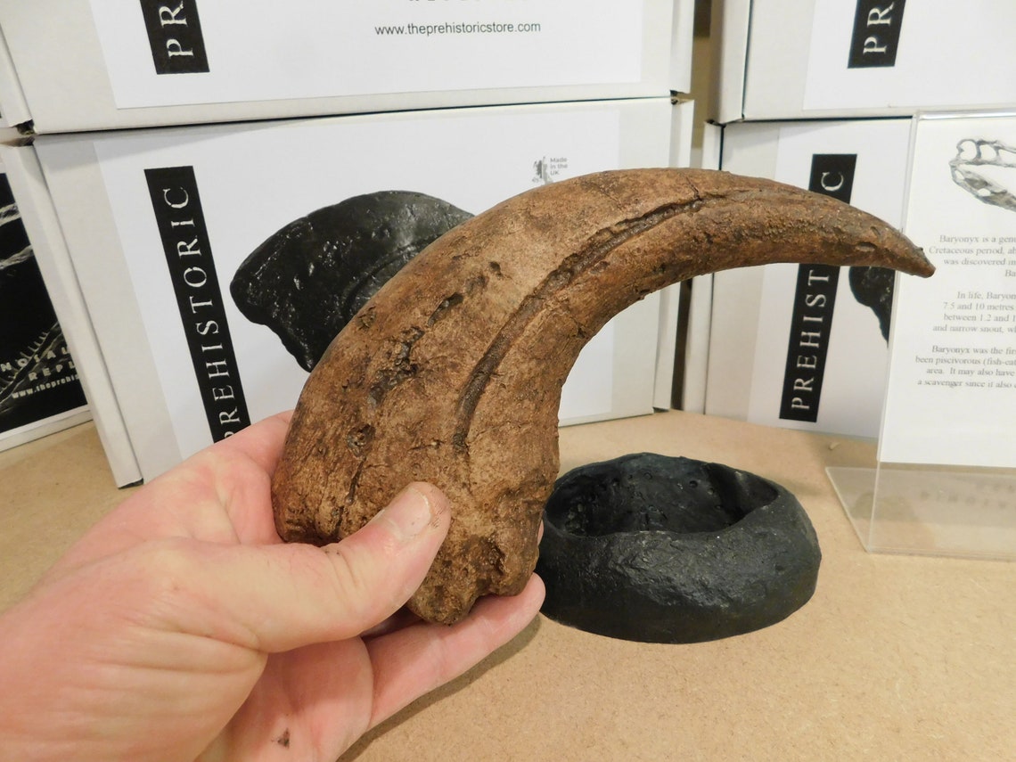 dinosaur with thumb spike