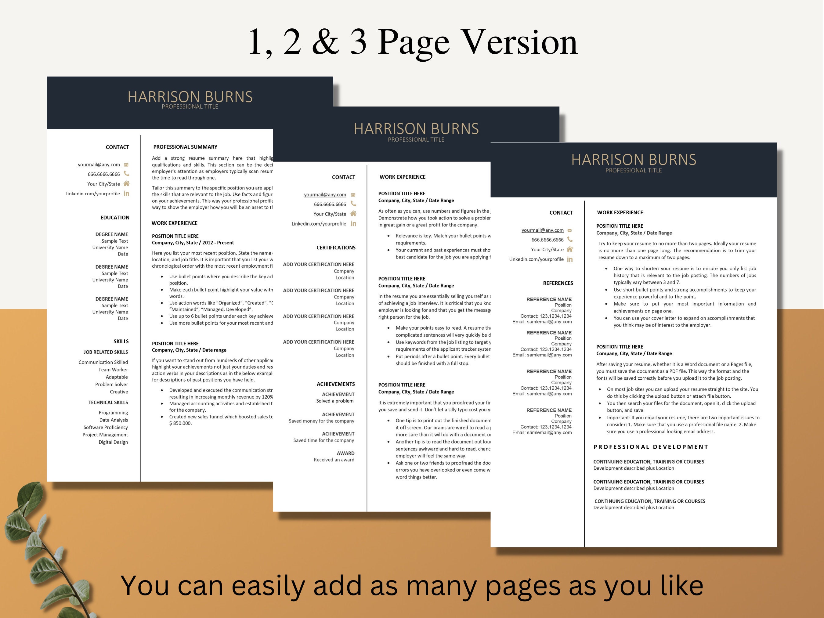 Modern Executive Resume Template, Professional Resume Template for Word ...