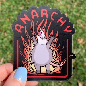 Pegatina de zarigüeya caótica en llamas de Anarchy / Calcomanía divertida para Hydroflask para adolescentes / Regalo de cumpleaños de broma barato y extraño
