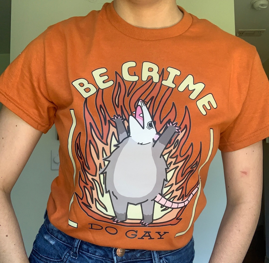 Be Crime Do Gay Opossum T Shirt / Cute Funny Possum Lover LGBT LGBTQ ...