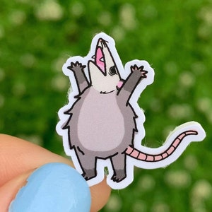 10 Stück Mini Opossum Sticker Pack / süsse Enraged Angry Chaotische Opossum Aufkleber / Lustiger Tier Abziehbild / Seltsames Geschenk