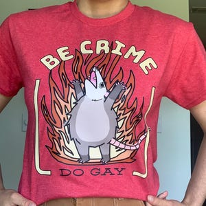 Camiseta con el lema "Sé un crimen, sé gay" y "Opossum" / Linda, divertida, caótica, llameante, furiosa, queer, mes del orgullo LGBT, pensando en ti, regalo para salir del armario, felicitaciones, tonta y divertida