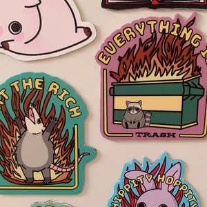 2 Pack Chaotic Trash Animals Fridge or Car Bumper Magnets / Everything is Trash Dumpster Fire Depressed Raccoon Eat the Rich Opossum Flaming