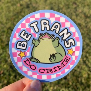 Adesivo "Be Trans Do Crime Frog" / Carino, divertente, unico, Trans Pride, convalida, supporto per il coming out / Estetica Vans Y2K a scacchi alla moda