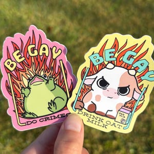 2 Pack Lactose Intolerant Queer Stickers / Cute Funny Be Gay Do Crime Drink Oatmilk Bumper Decals for Lesbian Pride Month Barista Coffee