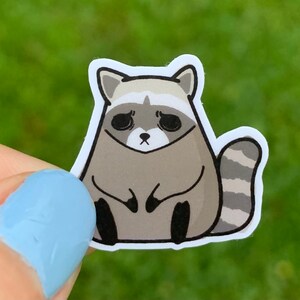 10 Piece Cute Sad Pitiful Raccoon Mini Sticker Pack / Tiny Coon Stickers / Trash Animal Party Favor Goody Bag Item / Kawaii Cartoon