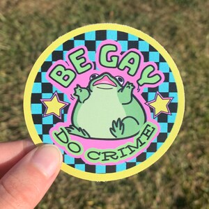 Adesivo per paraurti auto con rana a scacchi, cerchio, bottiglia d'acqua, portatile, sii gay, fai il crimine / Adesivo carino e divertente per il mese dell'orgoglio queer LGBT, pensando a te, regalo