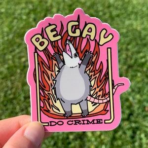 2 Pack Be Gay Do Crime Opossum Arson Happens Frog Waving Matches ...