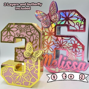 Números 3D SVG e Studio incluindo 2 camadas e decoração de borboleta. Download instantâneo. (ferramenta de pontuação necessária)