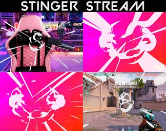 Stream Scene Transition - ( Stinger Stream ) -  Design - Twitch and Kick