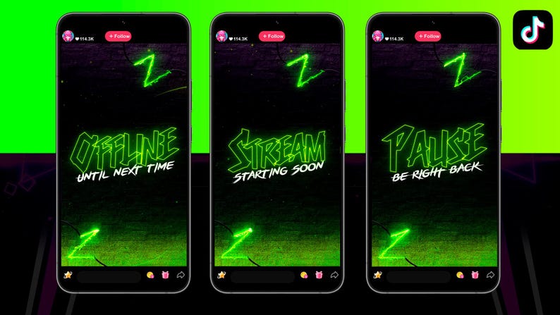Neon Green TIKTOK Streaming Overlay Pack - Tiktok Live Animated Design image 5