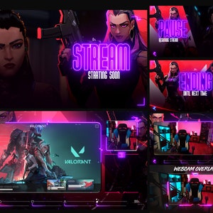 REYNA Valorant - Animated Stream Overlays Pack - WEBM Format