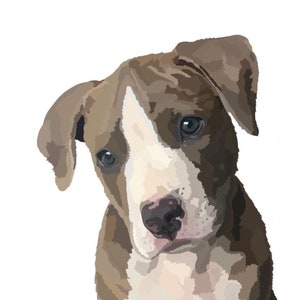 May include: A brown and white pit bull puppy with brown eyes looking at the camera. The puppy is sitting with its paws crossed.