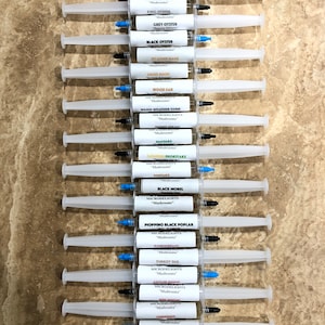 LC gourmet paddenstoelenmycelium (verpakking van 24)