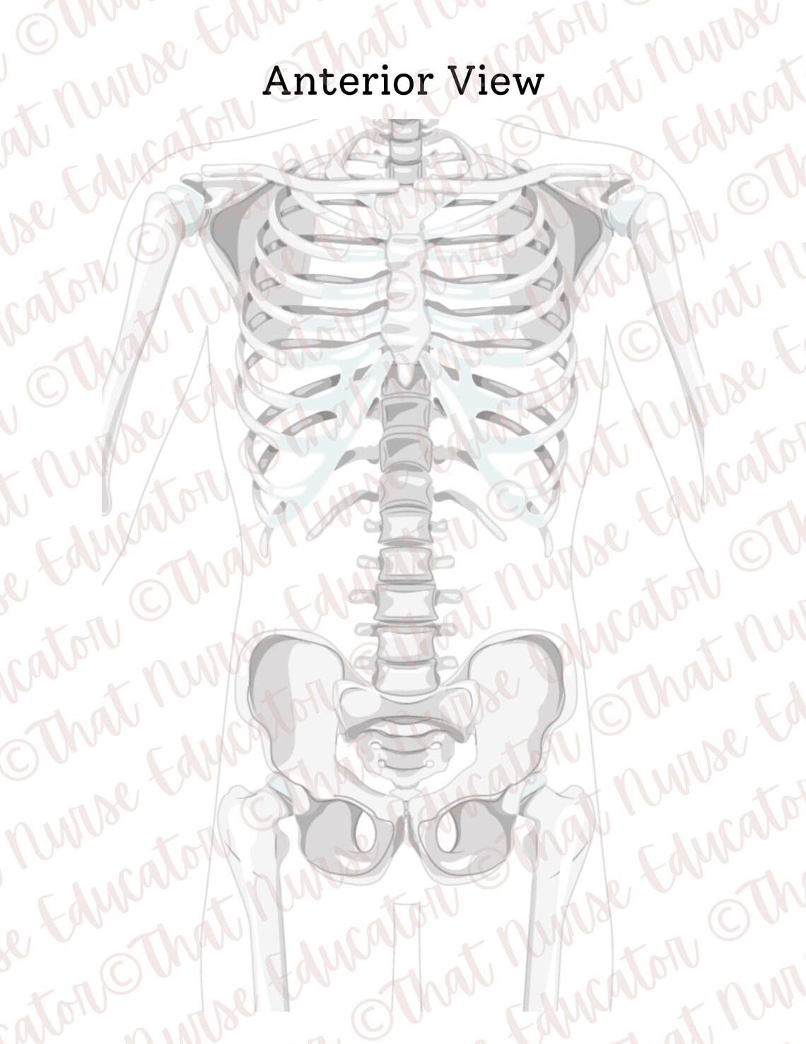 ECG Lead Placement Activity for 12lead 15lead and 5lead Plus Bonus