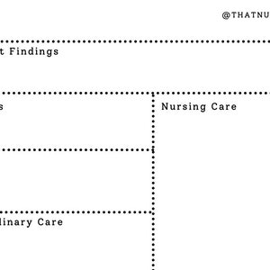 May include: A blank chart with the headings: Condition, Assessment Findings, Diagnostics, Nursing Care, Treatment, and Interdisciplinary Care. The chart is for documenting patient care.