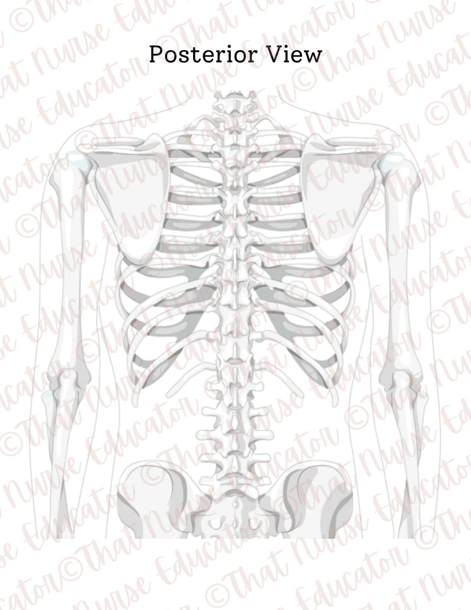 ECG Lead Placement Activity for 12-lead 15-lead and 5-lead Plus Bonus ...