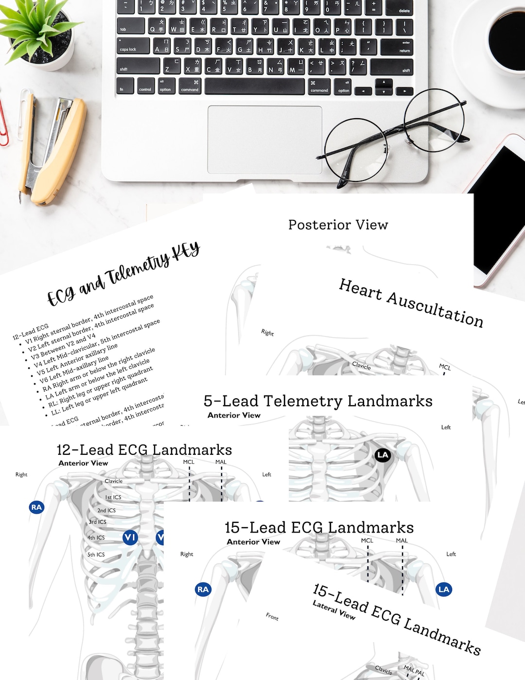 ECG Lead Placement Activity for 12lead 15lead and 5lead Plus Bonus Heart Auscultation