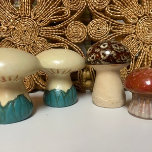 Vintage mushroom salt and pepper shakers.