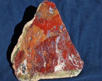 New Material Orbicular Bloodstone Slab Polished Display Specimen.  11cm x 13cm x 10mm.