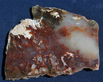 Bull Canyon Agate Slab Polished Display Specimen.  13cmx 10cm x 10mm.