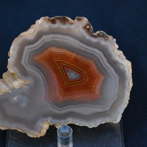 Excellent Polished Laguna Agate Arco Iris Mine Mexico.  8cm x 5.5cm.