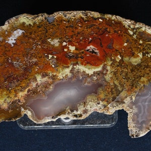 Excellent Agua Nueva Moss/Pattern Agate Polished Display Specimen.  11.5cm. x 6.5cm.