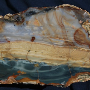 ﾌﾞﾙｰﾏｳﾝﾃﾝ ｼﾞｬｽﾊﾟｰ Blue Mountain Jasper - greenfloat