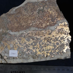 Könnte beinhalten: Ein Naturstein-Exemplar mit goldfarbener, strukturierter Oberfläche. Der Stein hat eine Mischung aus braunen, weißen und goldenen Farbtönen. Ein kleines weißes Etikett mit der Nummer "1000" ist sichtbar. Ein Lineal befindet sich unten.