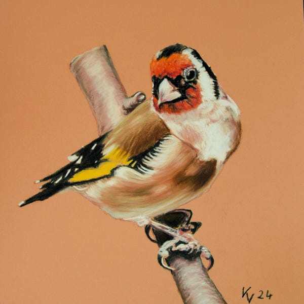 Dibujo a la tiza pastel "Jilguero", original, único, tamaño 30 x 24 cm, dibujo de animal con pájaro