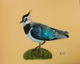 Pastel chalk picture: "Kiebitz", original, unique, size 24 x 30 cm, animal drawing with bird