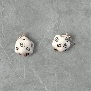 D20 Earrings
