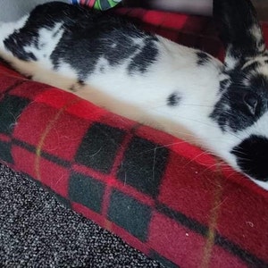 Couette Layzee Bun Lapin