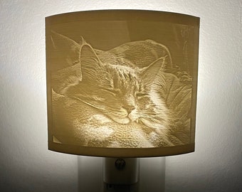 Custom Nightlight, Your picture made into a stunning 3D printed night light.  Bedrooms, bathrooms, kitchens, hallways, Stocking Stuffer