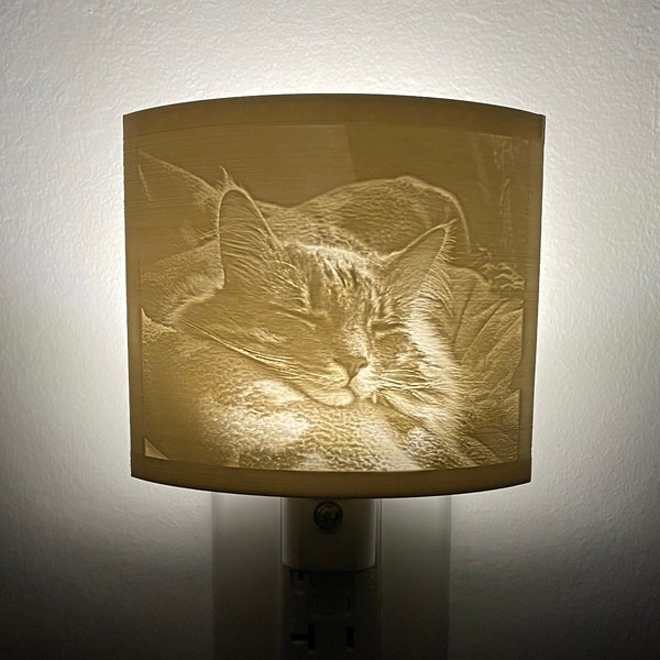 Custom Nightlight, Your picture made into a stunning 3D printed night light.  Bedrooms, bathrooms, kitchens, hallways, Stocking Stuffer