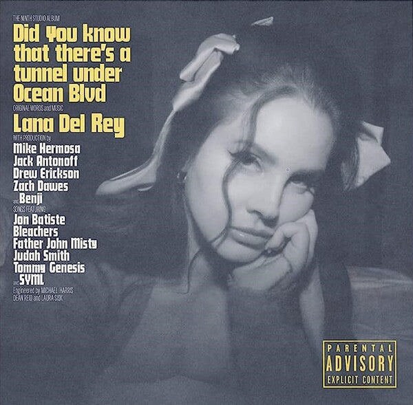 Lana Del Rey 2 CD Unreleased Albums Lana Del Ray AKA Lizzy Grant No Kung Fu  Demos Pre 1st Album Free 1 Button Pin 