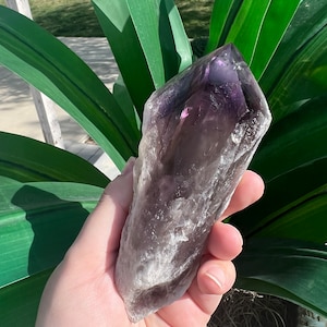 Raw Bahia Amethyst Root | Dragon&#39;s Tooth Wand | Hand-Selected Brazilian Crystal | Bahia Amethyst Elestial