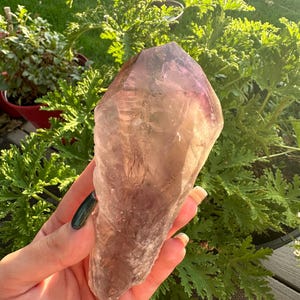 Raw Bahia Amethyst Root | Dragon&#39;s Tooth Wand | Hand-Selected Brazilian Crystal | Bahia Amethyst Elestial