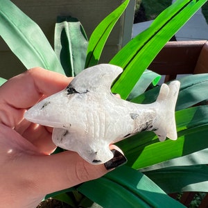 Moonstone Shark Carving // Hand Carved Moonstone Shark // Moonstone Animal Carving // White Labradorite // Ocean Home Decor