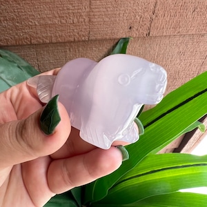 Lavender Fluorite Seal Carving // Cute Seal Carving // Rainbow Fluorite Seal // Beachy Home Décor // Seal Statue // Seal Decoration