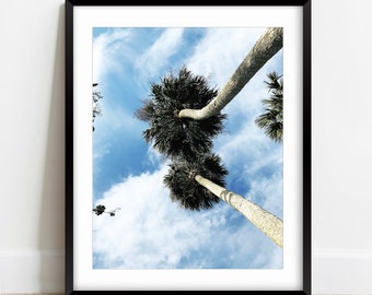 Palm Tree Print, Palm Tree Photo, California Wall Art, Nature Photography, California Print, Santa Barbara Photography Print [Two Palmtrees]